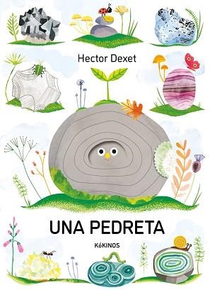 PEDRETA UNA | 9791387686413 | DEXET, HECTOR