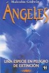 ANGELES UNA ESPECIE EN PELIGRO DE EXTINCION | 9788479271527 | GODWIN, MALCOLM