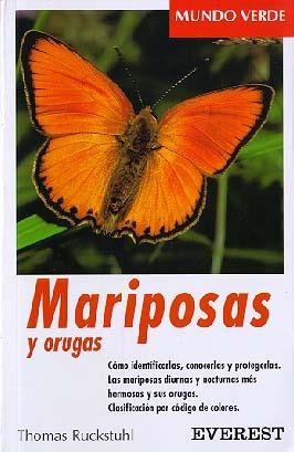 MARIPOSAS Y ORUGAS (OF) | 9788424127572 | RUCKSTUHL, THOMAS